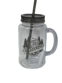 Disney Fort Wilderness Resort & Campground Plastic Mason Jar Mug With Lid And St
