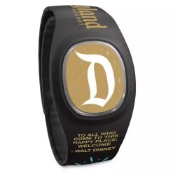 Disney Land Castle Fireworks MagicBand+