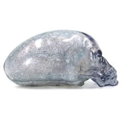 Disney Crystal Skull – Indiana Jones And The Kingdom Of The Crystal Skull -Disney image d67ea733 3f9a 4285 af20 ec03acbfcfd8